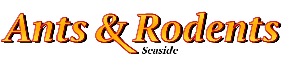 Seaside Ant Exterminator & Rodent Control Company Logo